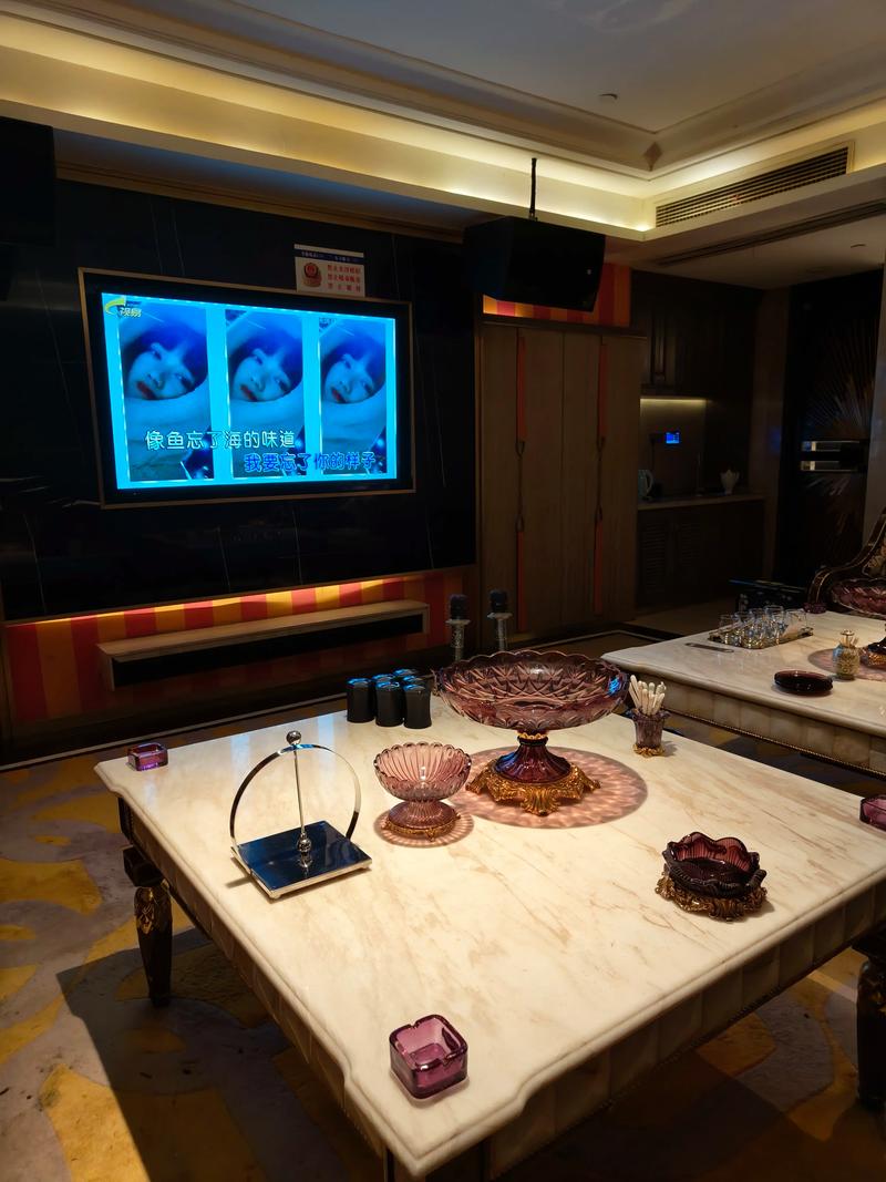 沧州商务ktv低端场优惠推荐-献县ktv预订